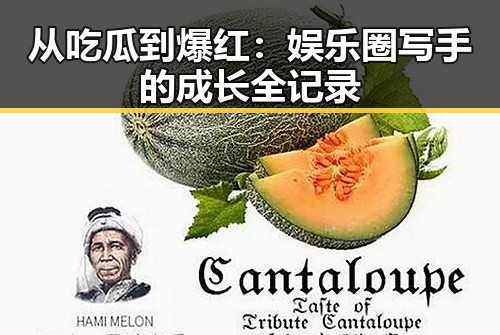 从吃瓜到爆红：娱乐圈写手的成长全记录