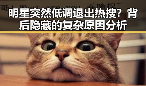 明星突然低调退出热搜？背后隐藏的复杂原因分析