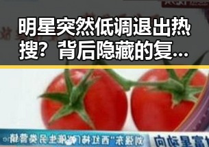 明星突然低调退出热搜？背后隐藏的复杂原因分析