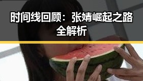 时间线回顾：张婧崛起之路全解析
