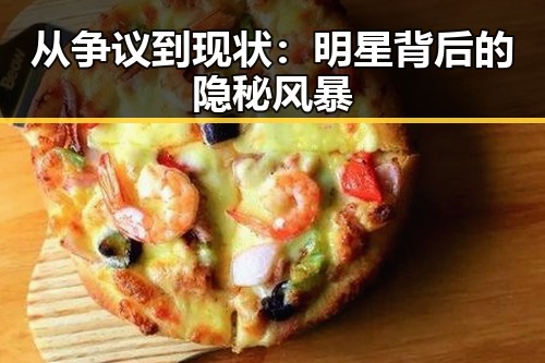 从争议到现状：明星背后的隐秘风暴